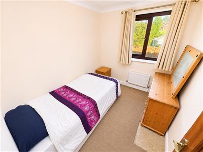 Picture 26